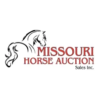 Missouri Horse Auctions